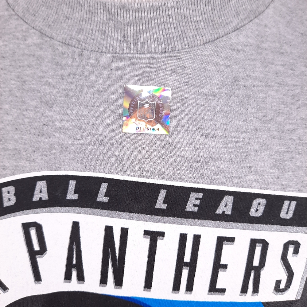 NEW NFL Carolina Panthers T-Shirt Adult Size L Gray Logo Athletic Team Football - Picture 3 of 7